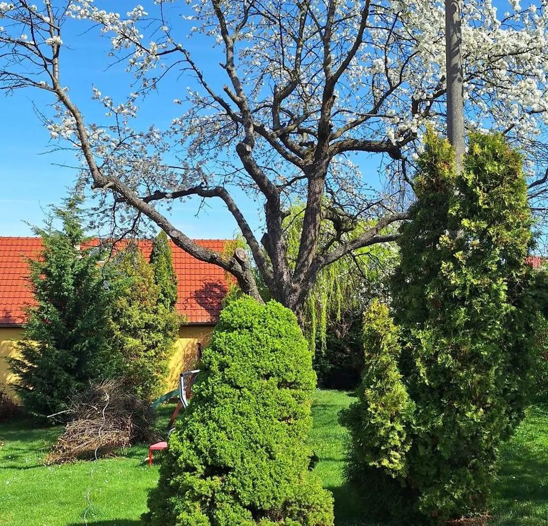 Appartamento Prague Zbraslav Old Garden